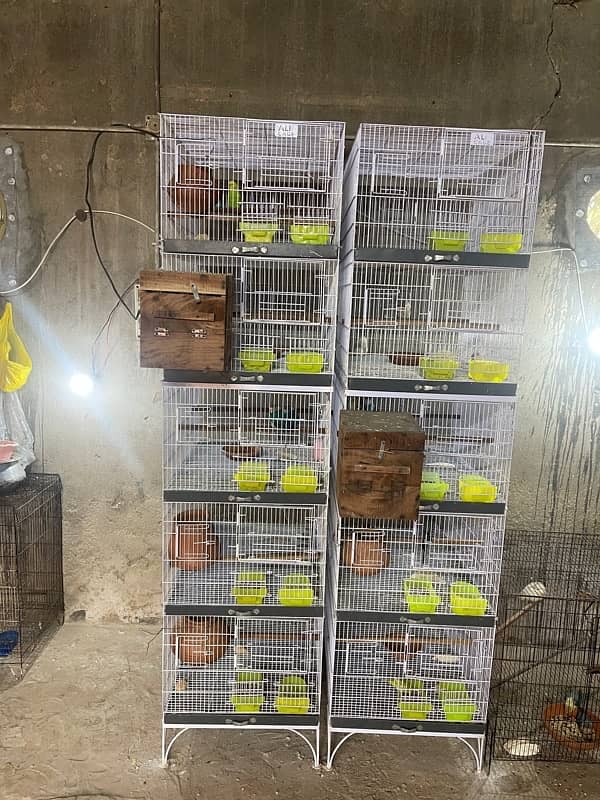 5 portion bird cage for sale 1