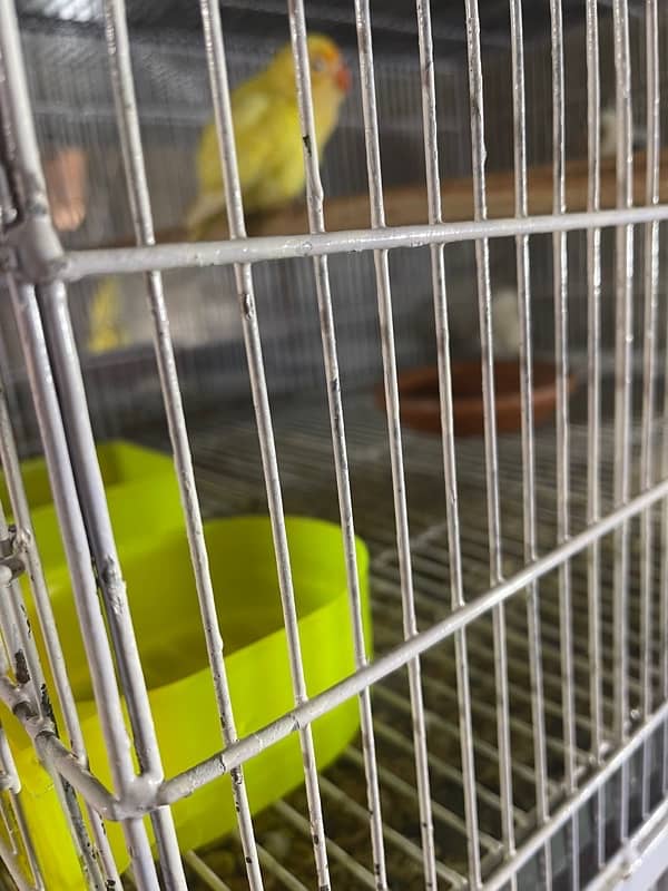 5 portion bird cage for sale 3