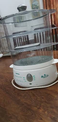 electric steam cooker