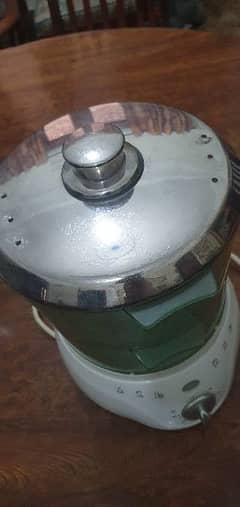 electric steam cooker