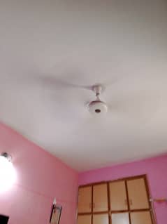 Fan for sell