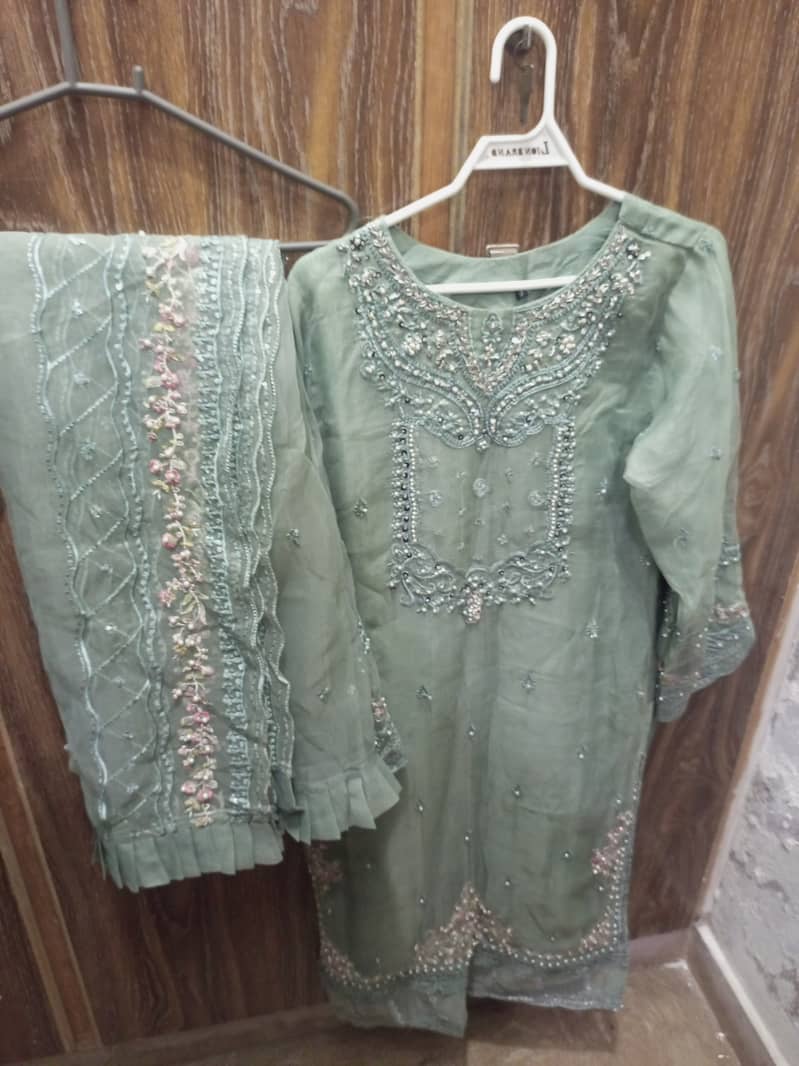 Fancy organza embroidery suit 0