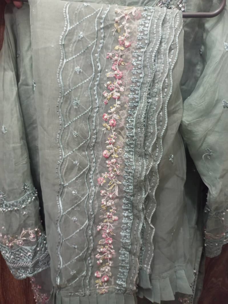 Fancy organza embroidery suit 2