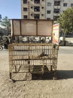 hen cage made with iron