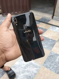 vivo