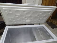 Haier D freezer or refrigerator.