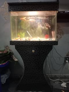 Fish Aquarium with wood stand & roof