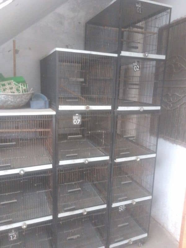 Iron wire Cages 2