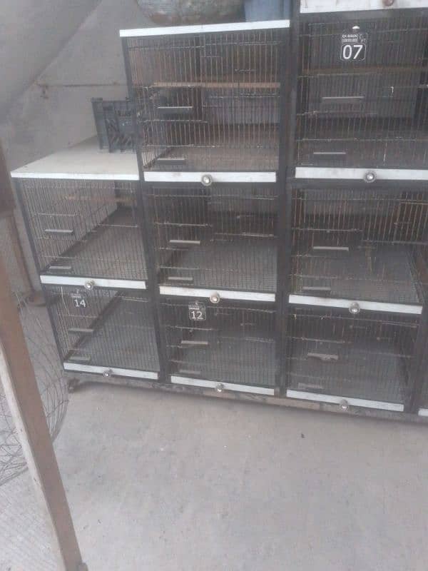 Iron wire Cages 5