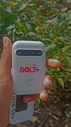 Zong Bold 4G