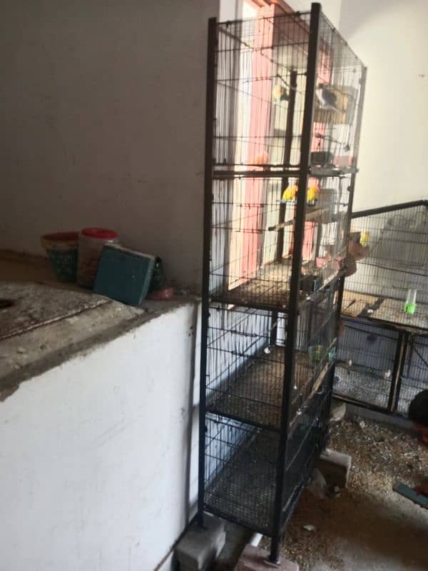 cage for sale 2