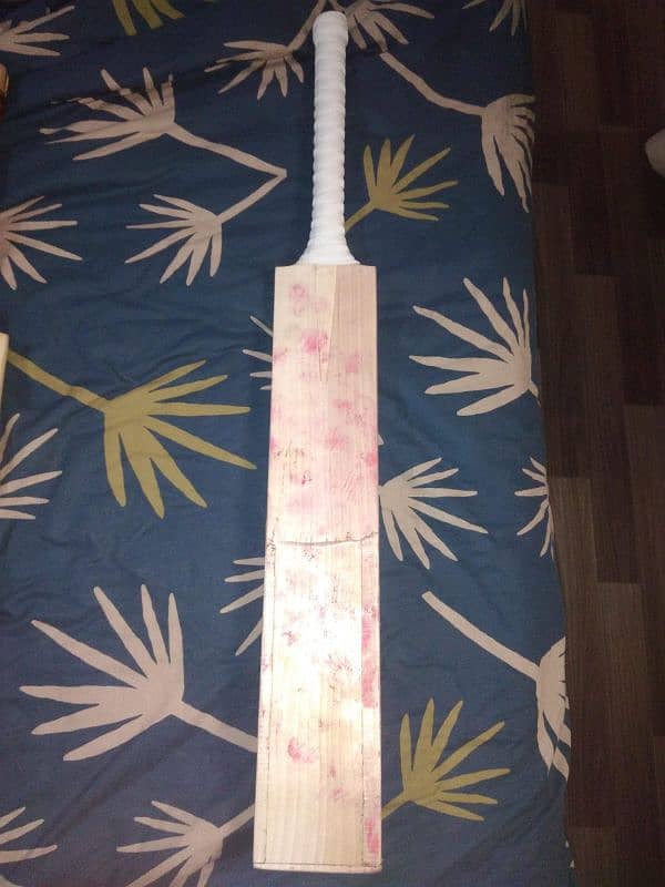 cricket bat 1