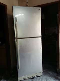 Jumbo size fridge