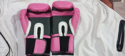 Everlast -boxing glove