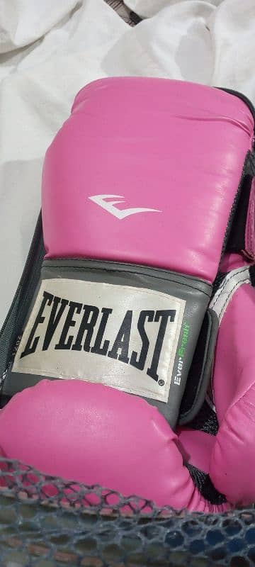 Everlast -boxing glove 1