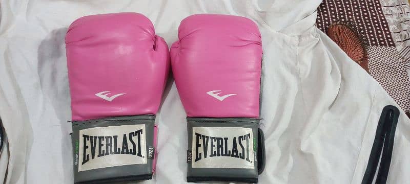 Everlast -boxing glove 2