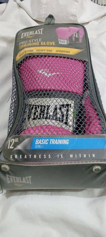 Everlast -boxing glove 3