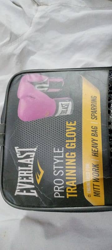 Everlast -boxing glove 5