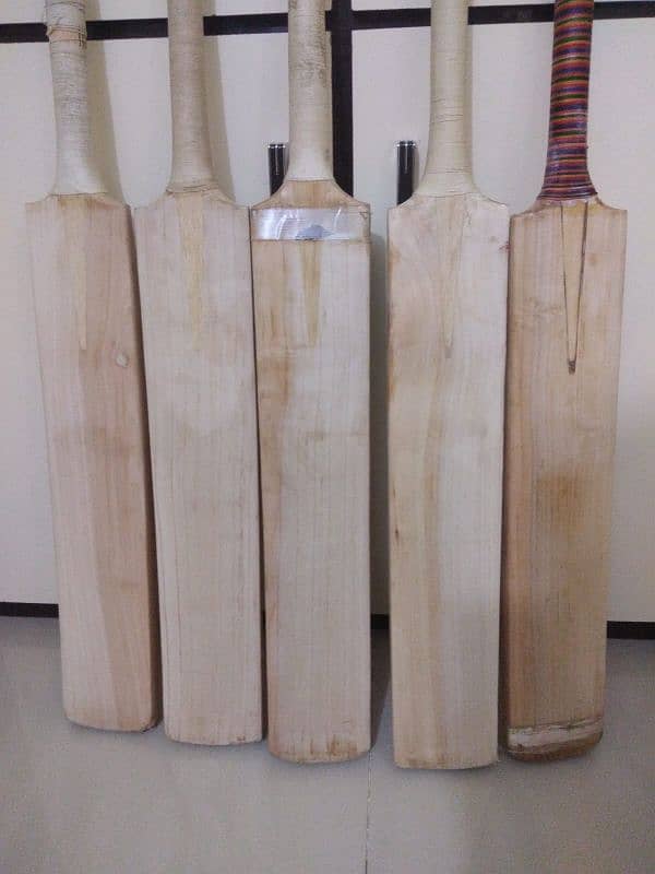 original Cricket bat 0