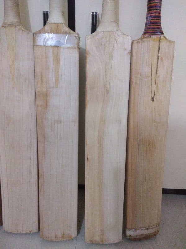 original Cricket bat 1