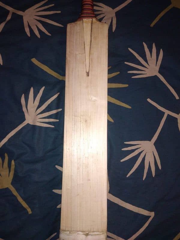 original Cricket bat 2