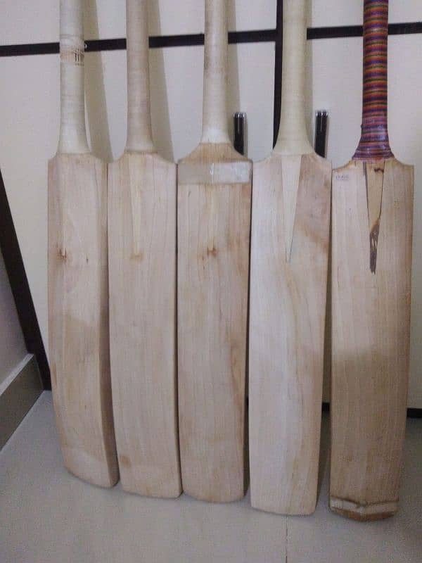 original Cricket bat 3