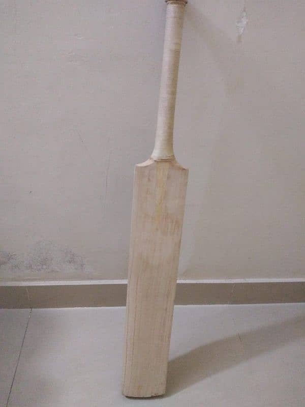 original Cricket bat 6