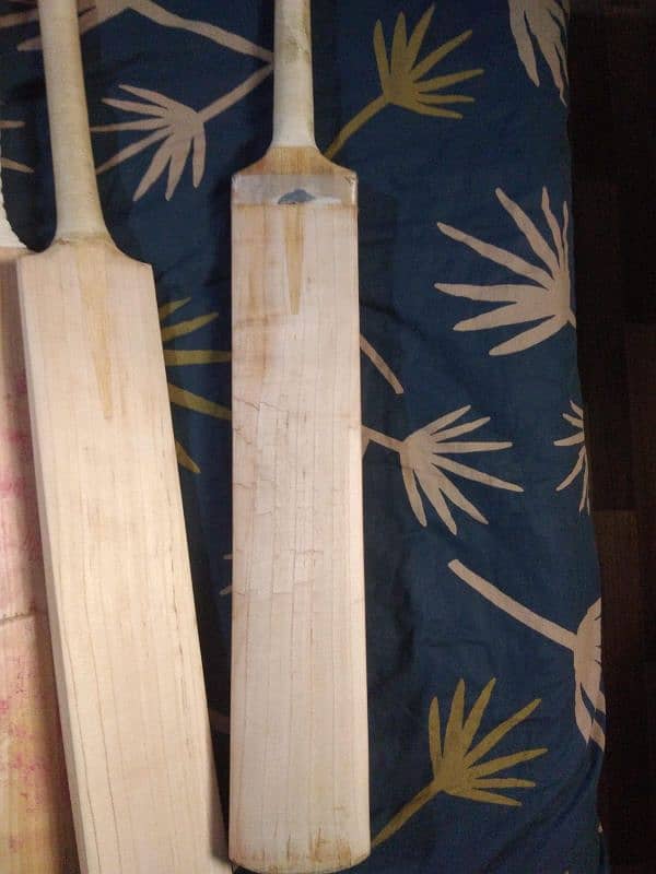 original Cricket bat 7