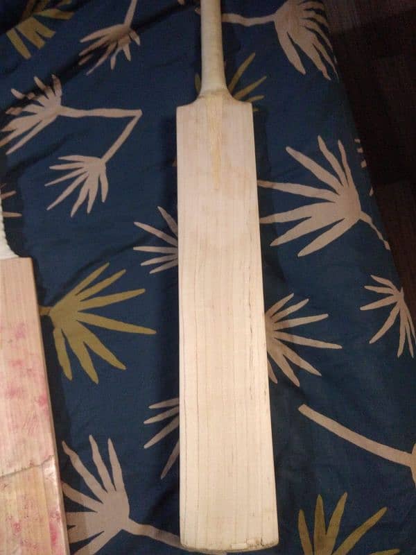 original Cricket bat 8