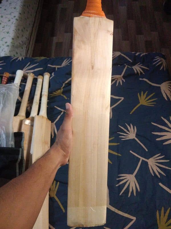 original Cricket bat 9