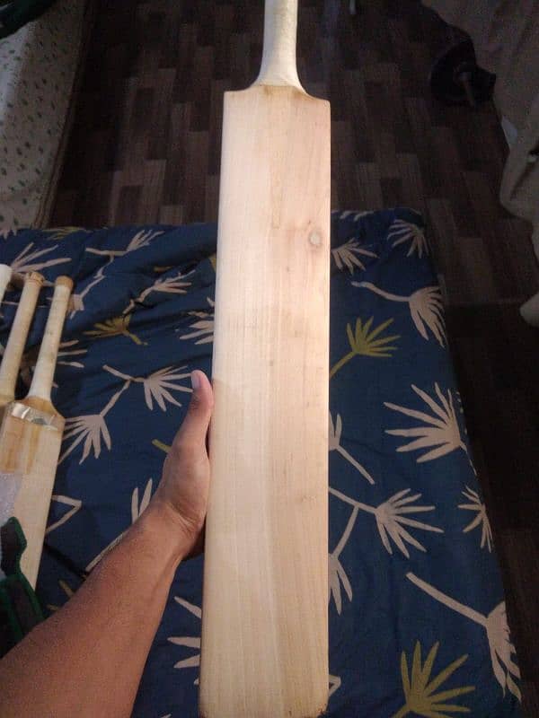 original Cricket bat 10