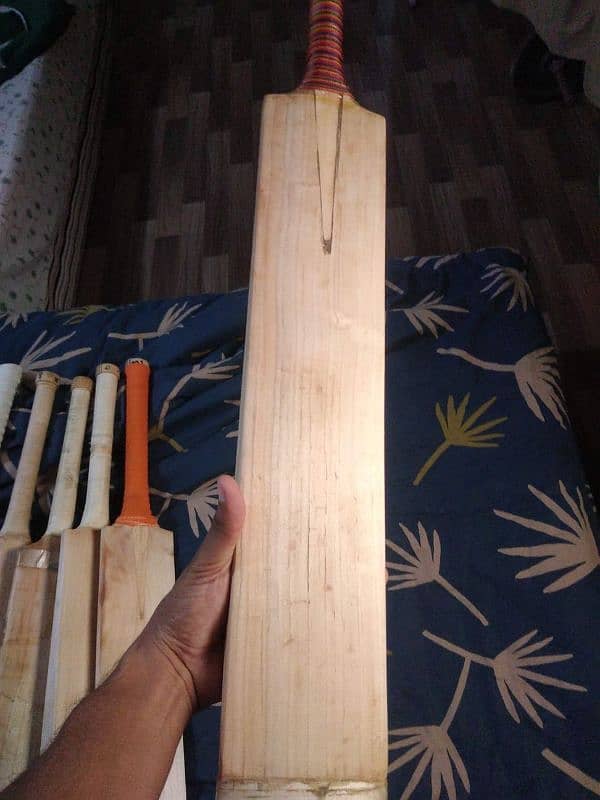 original Cricket bat 13