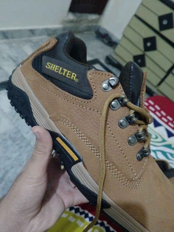 shelter branded shoes 0