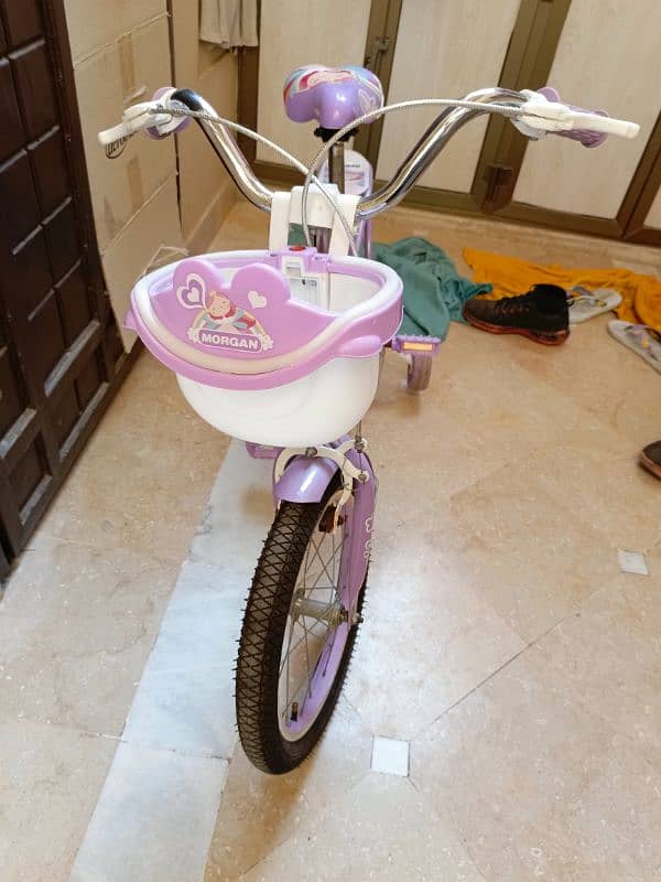 Girls Bicycle Age 3 to 7 Years 6