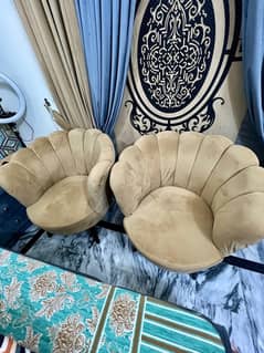 chair Poshish chairs room chair |Luxury chairs|Decent chairs|teddy