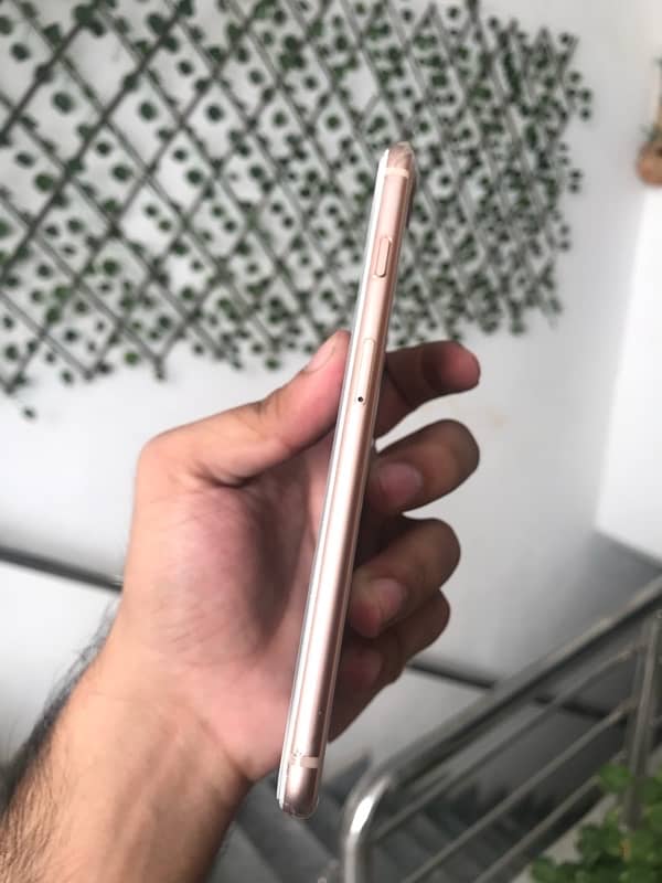 Iphone 8 plus PTA APPROVED 5