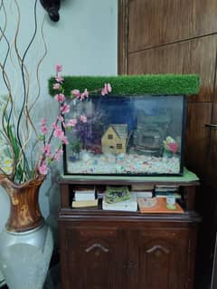 Fish Tank With Solid Wood Table