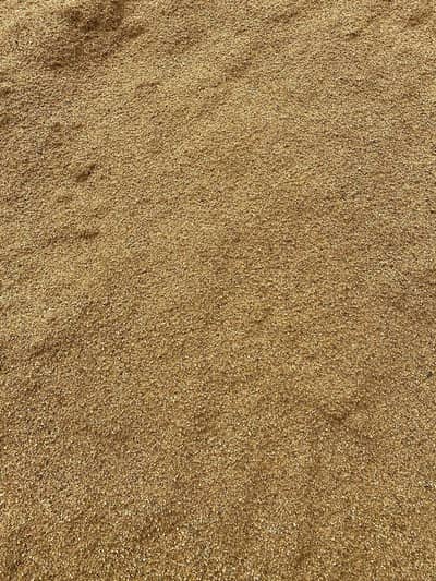 Aquarium River sand and aquatic plants