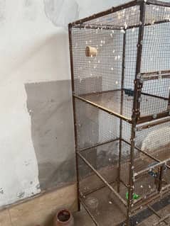 tower cage for parrots, pigeons and hens