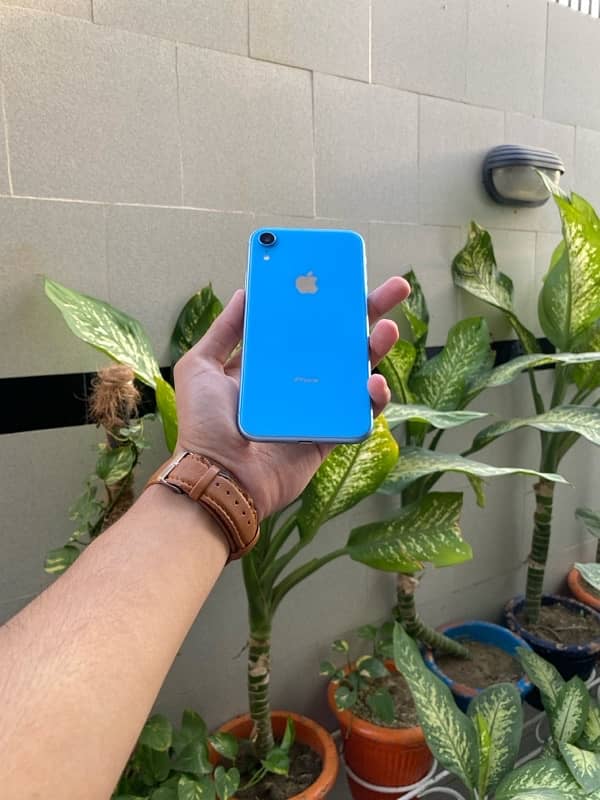 iPhone Xr Dual Sim PTA Approved 1