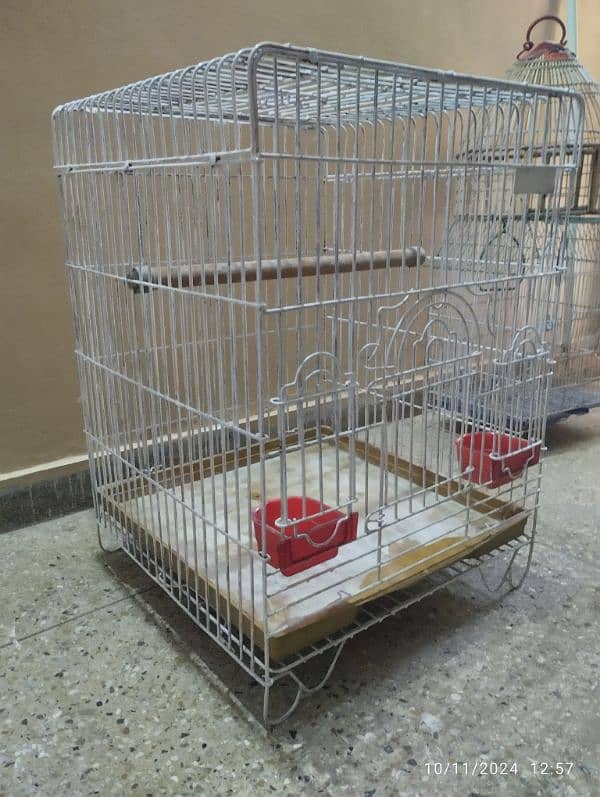 cage for perrot 1