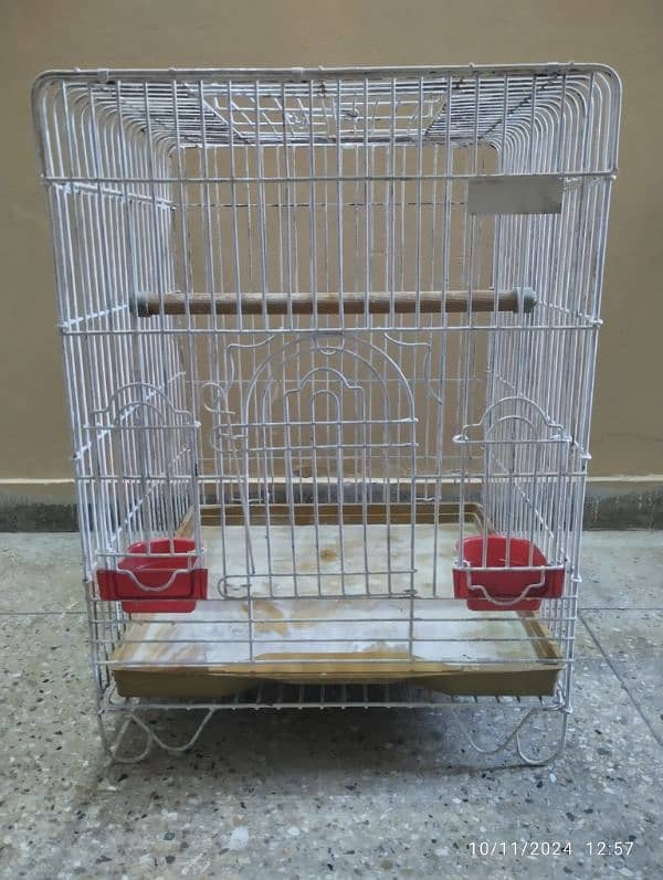 cage for perrot 2