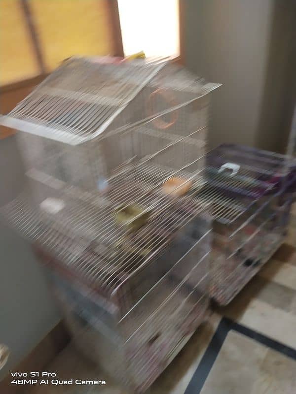 3 cage hn 0