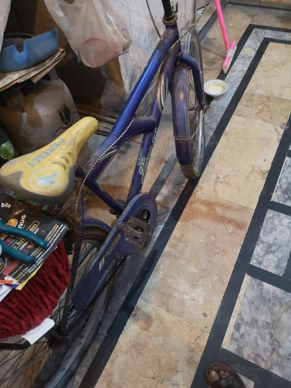 sports bicycle for sale 2