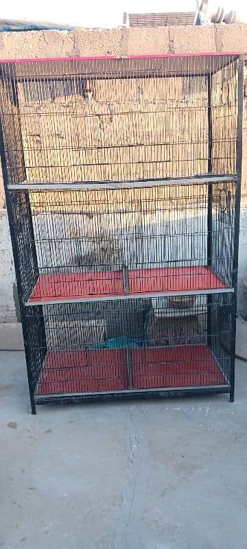 birds' cage 2