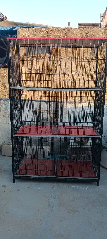 birds' cage 7