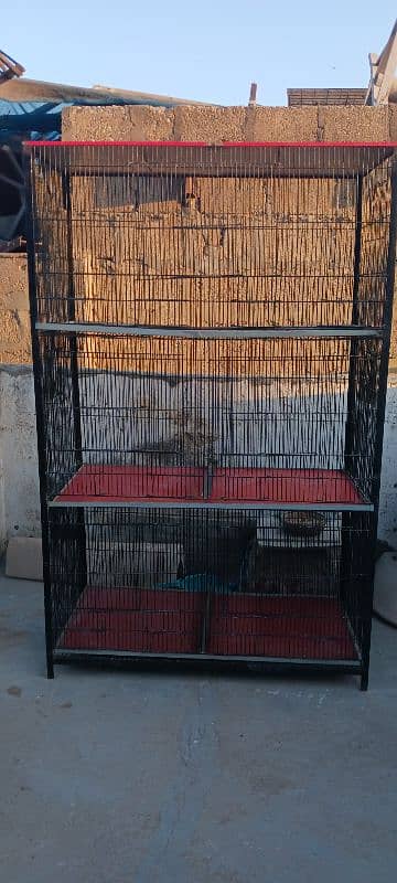 birds' cage 8