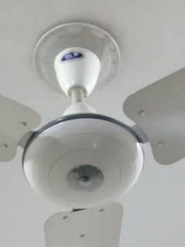 pak fan Ceiling fan for sale in wah cantt 0