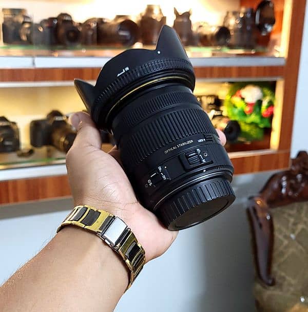 Canon Sigma 17-50mm f2.8 OS DC HSM 1