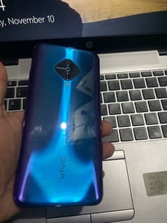 Vivo